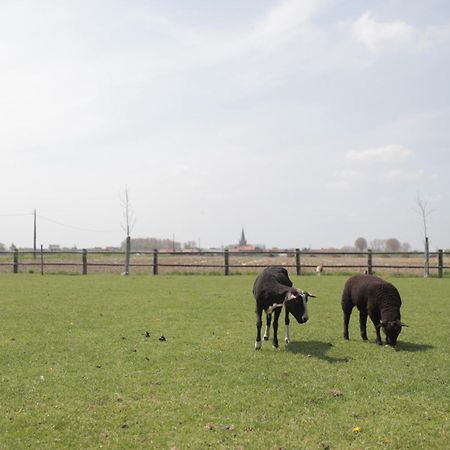 Gasthof Schraevenacker Vleteren Exteriér fotografie