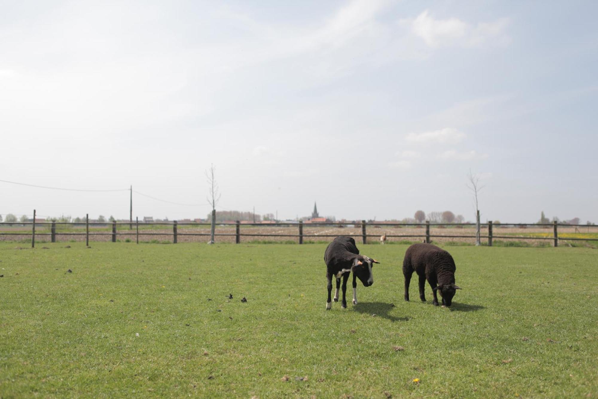 Gasthof Schraevenacker Vleteren Exteriér fotografie
